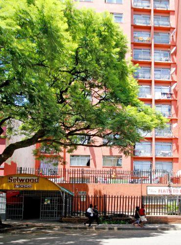 Selwood Place
